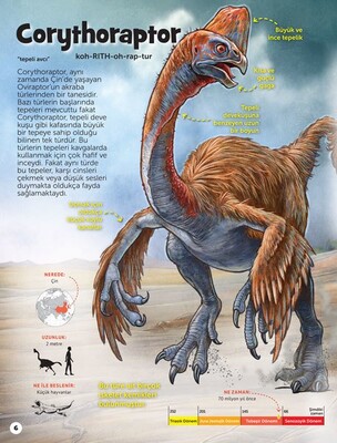 Dikkat Atölyesi Dinozor Sevenler İçin Hidden Pictures