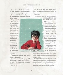 Harry Potter ve Sırlar Odası 2 - Resimli Özel Baskı - J. K. Rowling - Thumbnail