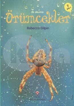 Örümcekler - Rebecca Gilpin